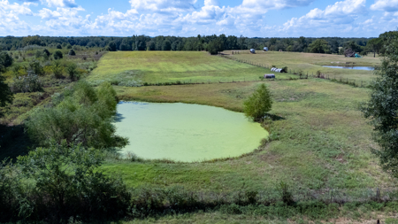 Horse Ranch for Sale | 18.72 Acres Arena Hunting Land Near Athens - image 12