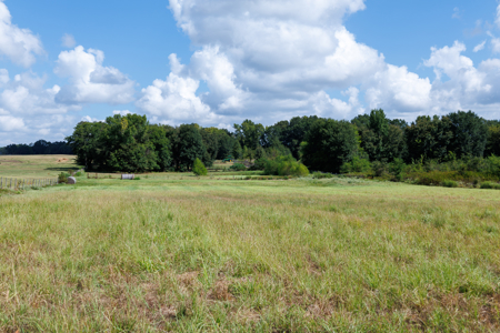 Horse Ranch for Sale | 18.72 Acres Arena Hunting Land Near Athens - image 28