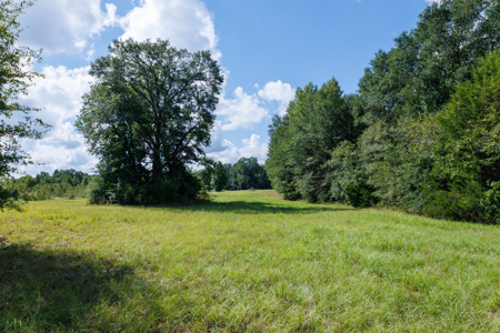 Horse Ranch for Sale | 18.72 Acres Arena Hunting Land Near Athens - image 21
