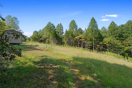 Private 6+ Acre Homesite in Beautiful Leipers Fork Area - image 23