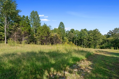 Private 6+ Acre Homesite in Beautiful Leipers Fork Area - image 22