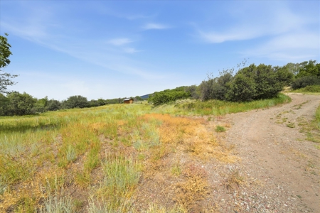 Mountain Ranch - Colorado Buck Point Retreat - image 39