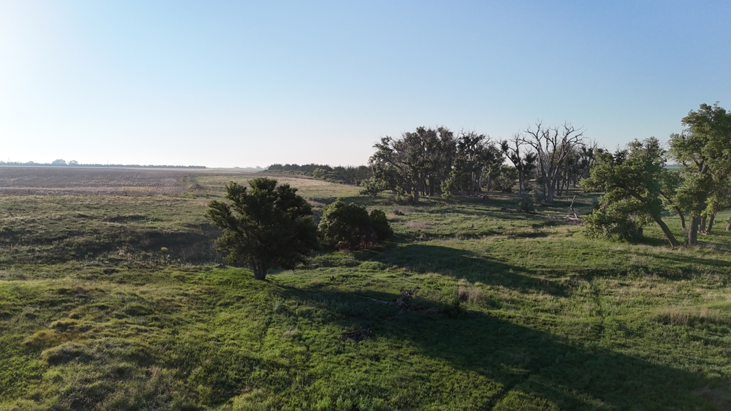 No Caption