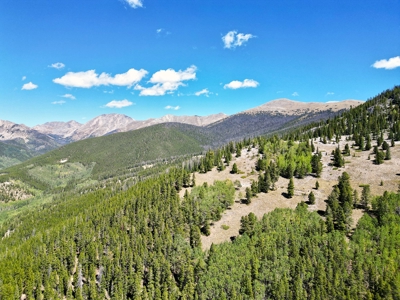 140 ± Acre Mountain Property for Sale in Whitepine, Colorado - image 9