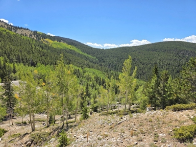 140 ± Acre Mountain Property for Sale in Whitepine, Colorado - image 17