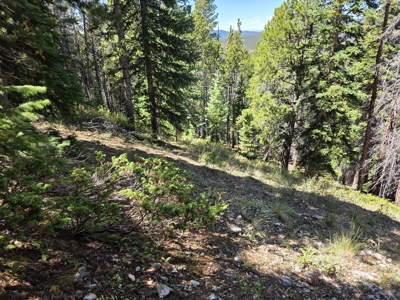 140 ± Acre Mountain Property for Sale in Whitepine, Colorado - image 25