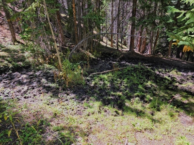 140 ± Acre Mountain Property for Sale in Whitepine, Colorado - image 29