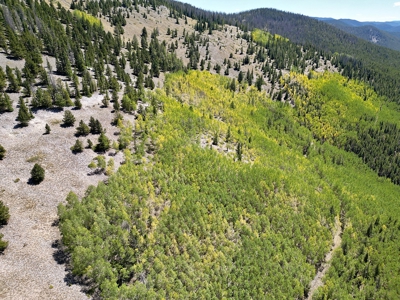 140 ± Acre Mountain Property for Sale in Whitepine, Colorado - image 10