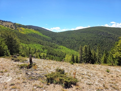 140 ± Acre Mountain Property for Sale in Whitepine, Colorado - image 20