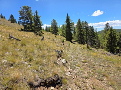 140 ± Acre Mountain Property for Sale in Whitepine, Colorado - image 23