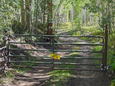 140 ± Acre Mountain Property for Sale in Whitepine, Colorado - image 47