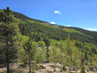 140 ± Acre Mountain Property for Sale in Whitepine, Colorado - image 48