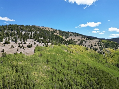 140 ± Acre Mountain Property for Sale in Whitepine, Colorado - image 1