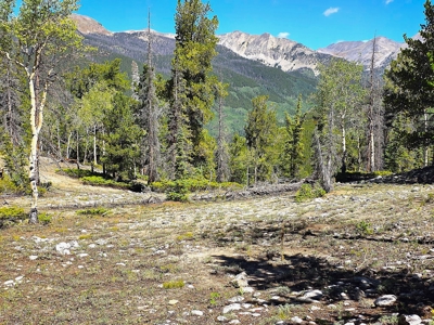 140 ± Acre Mountain Property for Sale in Whitepine, Colorado - image 13