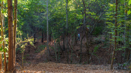 East Texas Land for Sale 141 Acres Tyler Texas Smith County - image 30