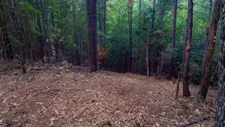 East Texas Land for Sale 141 Acres Tyler Texas Smith County - image 17