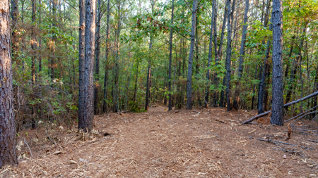 East Texas Land for Sale 141 Acres Tyler Texas Smith County - image 21