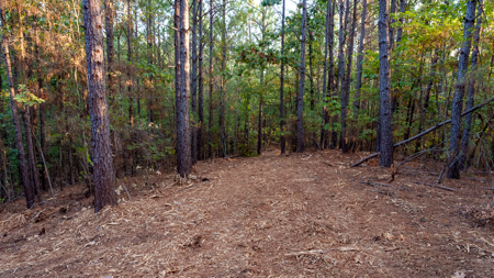 East Texas Land for Sale 141 Acres Tyler Texas Smith County - image 18