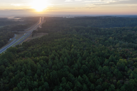 East Texas Land for Sale 141 Acres Tyler Texas Smith County - image 5