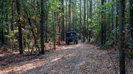East Texas Land for Sale 141 Acres Tyler Texas Smith County - image 35