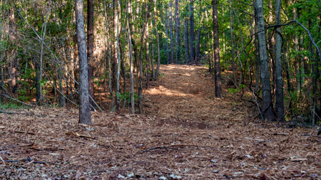 East Texas Land for Sale 141 Acres Tyler Texas Smith County - image 25