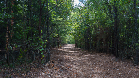 East Texas Land for Sale 141 Acres Tyler Texas Smith County - image 44