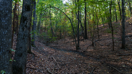 East Texas Land for Sale 141 Acres Tyler Texas Smith County - image 33