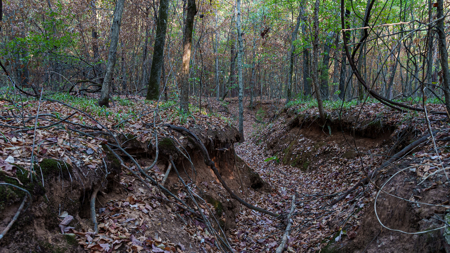 East Texas Land for Sale 141 Acres Tyler Texas Smith County - image 27