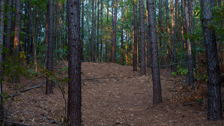 East Texas Land for Sale 141 Acres Tyler Texas Smith County - image 14