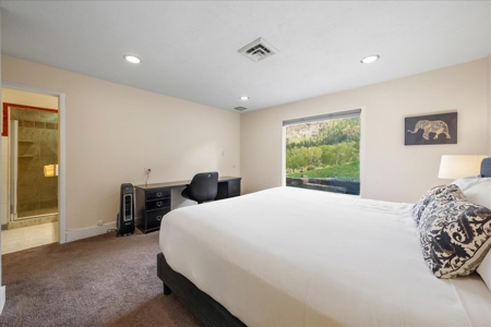 Single-Level Ouray Home on with Incredible Mountain Views - image 26
