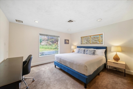 Single-Level Ouray Home on with Incredible Mountain Views - image 25