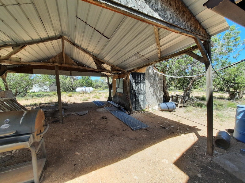No Caption