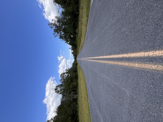 4.7 Acres in Wellborn — Build Your Dream Home