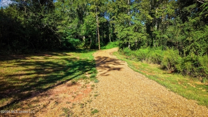 Listing 97