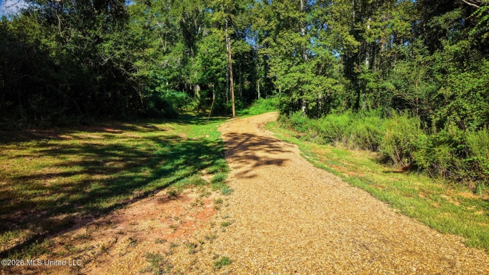 Secluded 6-Acre Home in Tylertown, MS