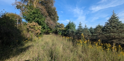 Listing 26