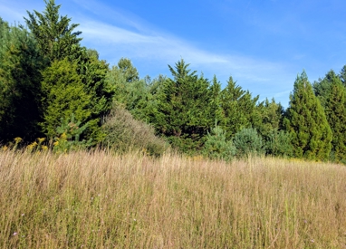 Listing 26