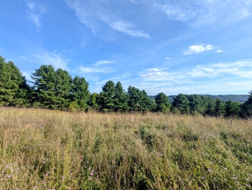 Listing 26