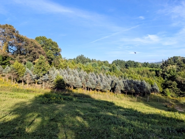 Listing 26