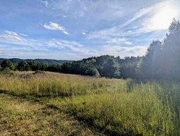 Listing 26