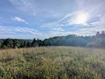 Listing 26