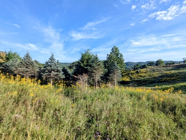 Listing 26