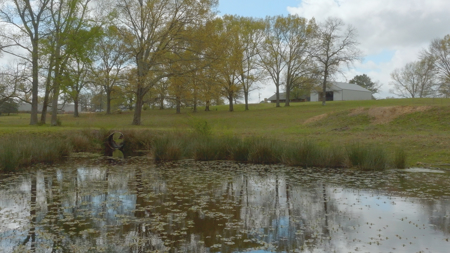 Mineola Texas Ranch for Sale Near Lindale Texas in Smith County - image 18