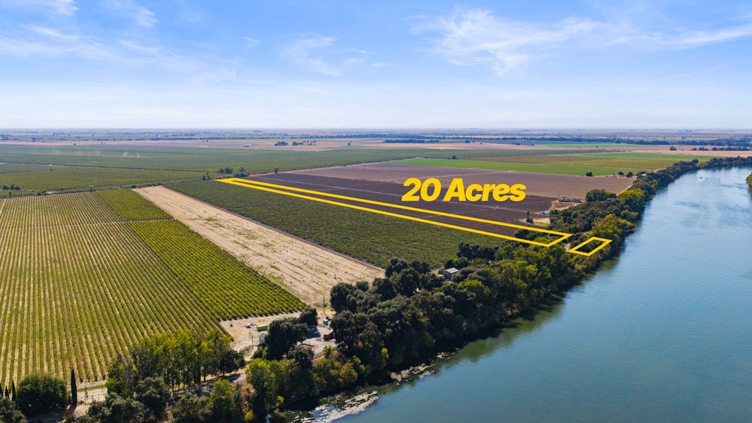 No Caption