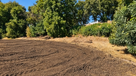 Northern California 20 Acres for Sale - Riparian Water Rights - image 4