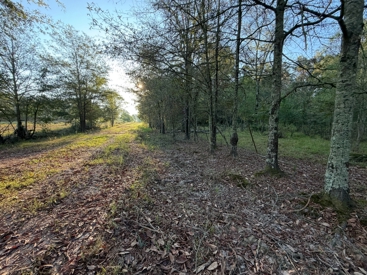 Listing 121