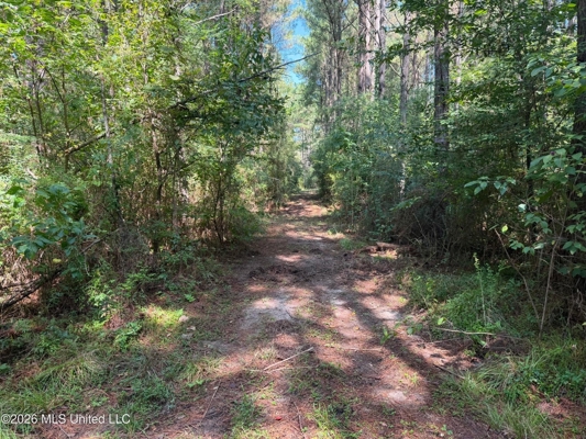 76 Acres of Hunting Land in Raleigh, MS, Smith County