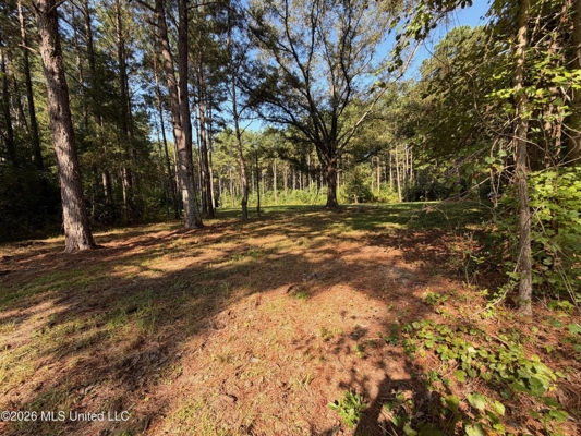 76 Acres of Hunting Land in Raleigh, MS, Smith County