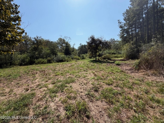 76 Acres of Hunting Land in Raleigh, MS, Smith County