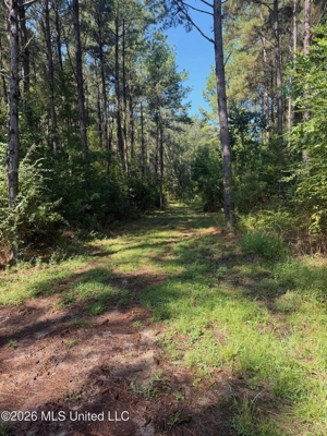 76 Acres of Hunting Land in Raleigh, MS, Smith County